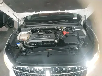 Lincoln Z