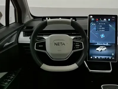 NETA Neta AYA