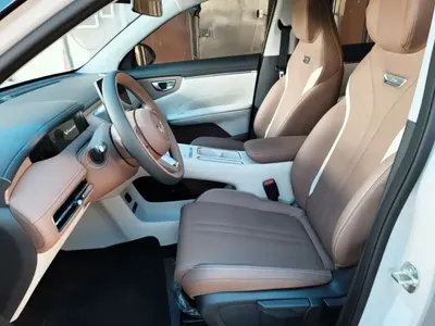 Wuling 缤果S