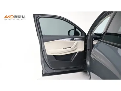 Lynk & Co 06 EM-P