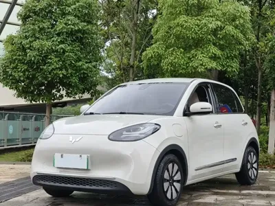 Wuling Bingo