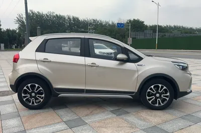 Geely Auto Vision X3