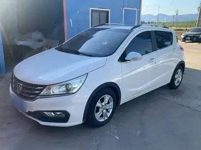 Baojun 310