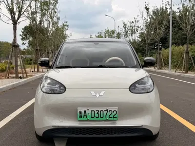 Wuling Bingo
