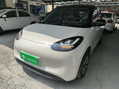Wuling Bingo