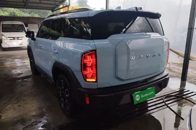 Haval X DOG