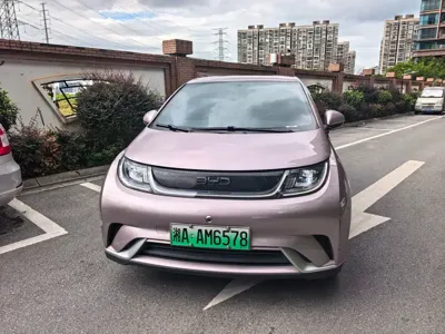 BYD Dolphin