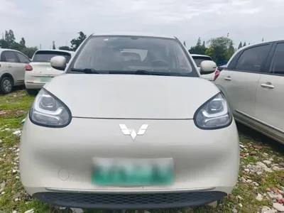 Wuling Bingo