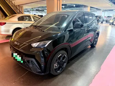 BYD Seagull