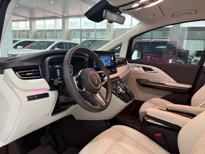 Hongqi Hongqi HQ9