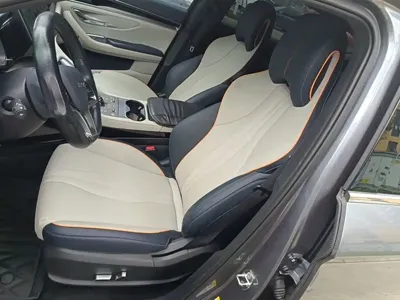 BYD PLUS New Energy