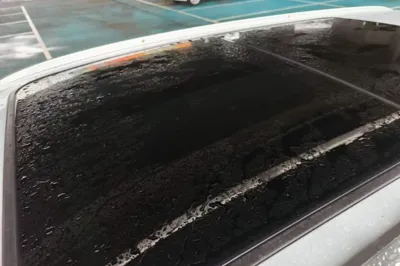 BYD Tang New Energy
