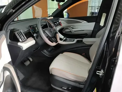 BYD Pro New Energy