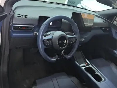 BYD Seagull