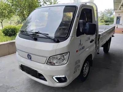Foton 祥菱M新能源