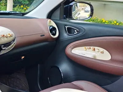 Wuling Bingo
