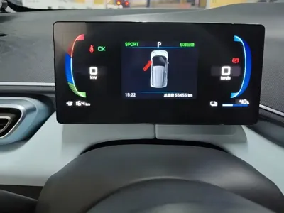 BYD Seagull