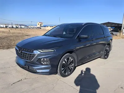 Wuling Victory