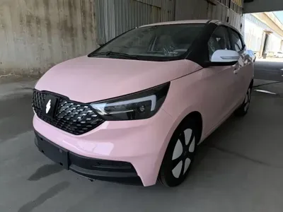 JMEV EV3