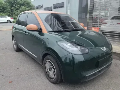 Wuling Bingo