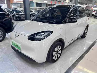 Wuling Bingo