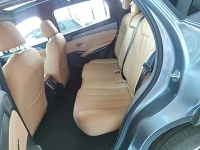 BYD L DM-i