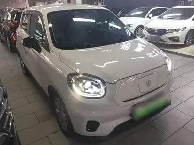 Leapmotor Leapmotor T03