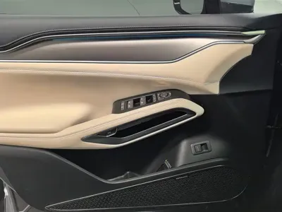 BYD L EV