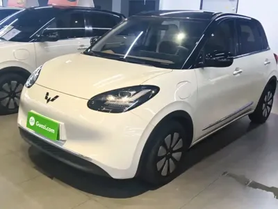 Wuling Bingo