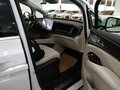 Denza Denza D9