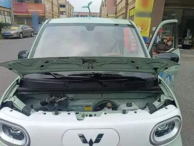Wuling MINIEV