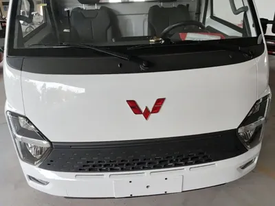 Wuling 五菱龙卡