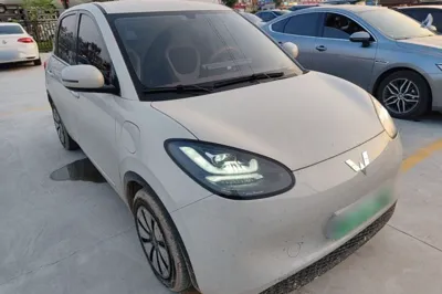 Wuling Bingo