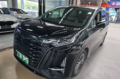 Denza D9