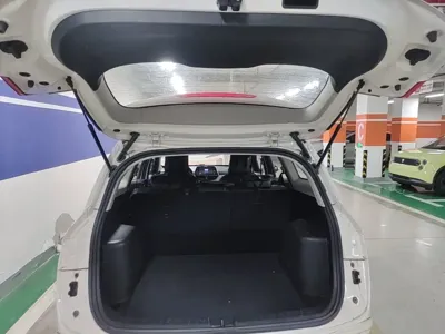 Baojun 310W