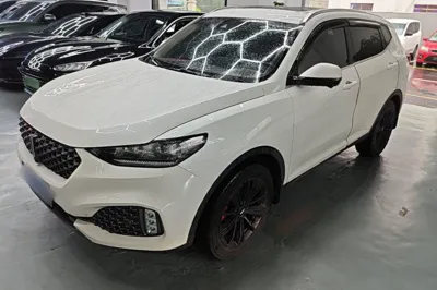 WEY VV6