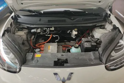 Wuling Bingo