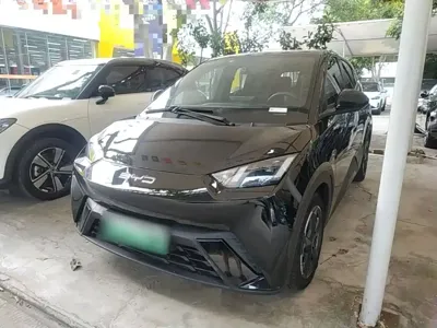 BYD Seagull