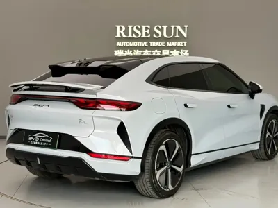 BYD L EV