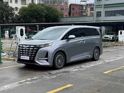 Denza Denza D9