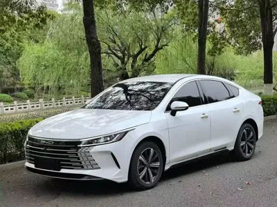 BYD Destroyer 05