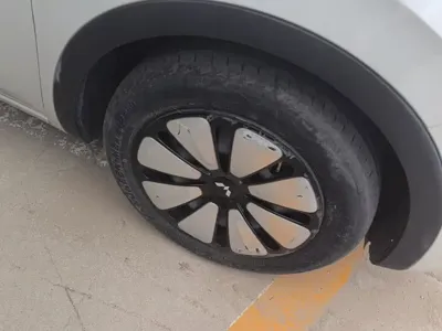 Wuling Bingo
