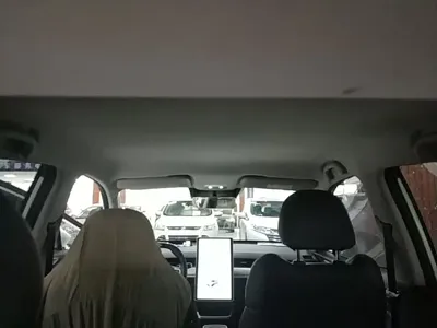 NETA Neta V