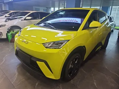 BYD Seagull