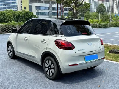 Wuling Bingo