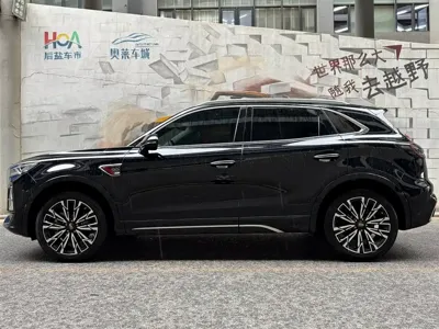 Hongqi Hongqi HS5