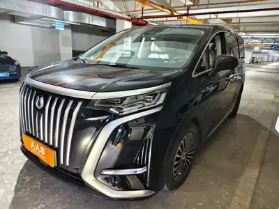 Denza Denza D9
