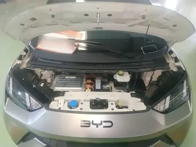BYD Seagull