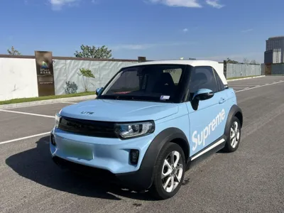 Changan Lumin
