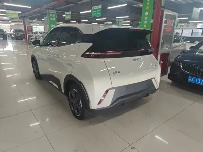 BYD Seagull